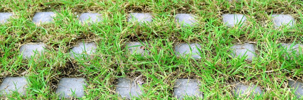 Landscaping Services in New York, NY
