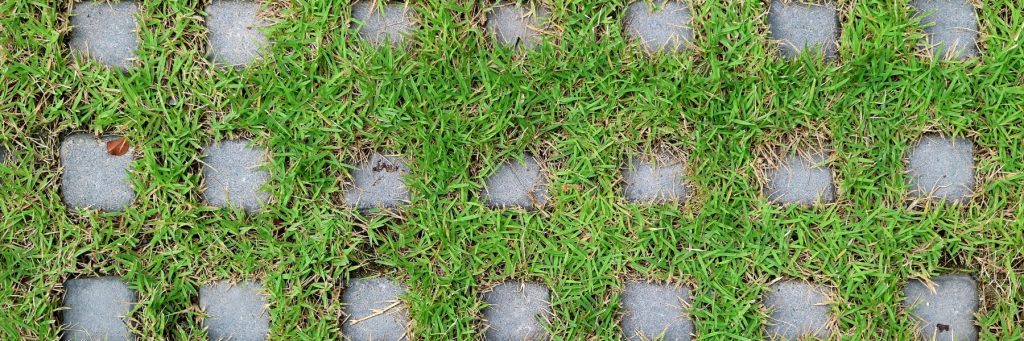 Landscaping Services in New York, NY