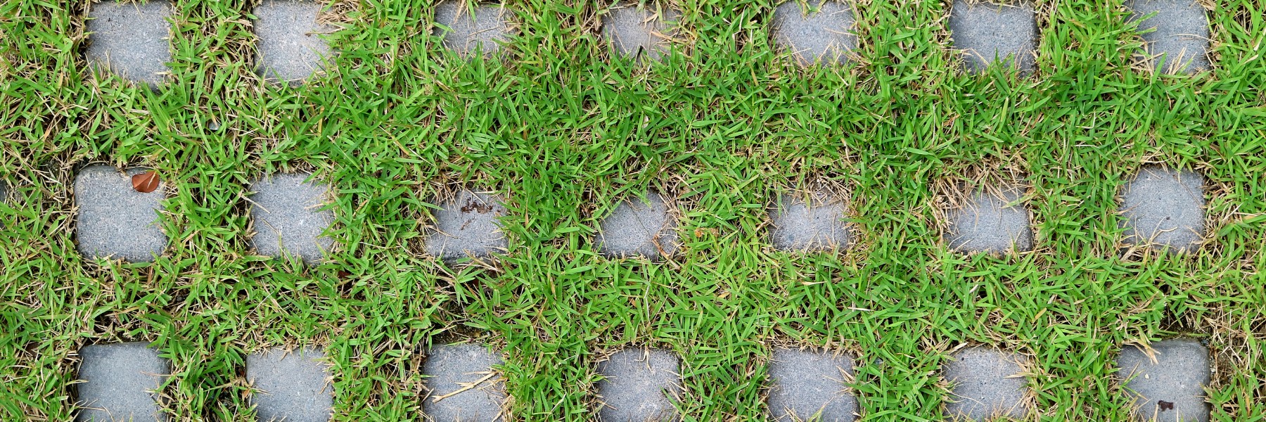 Landscaping Services in New York, NY