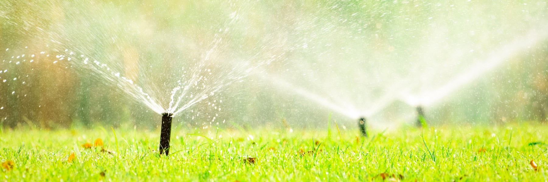 Landscaping Services in New York, NY