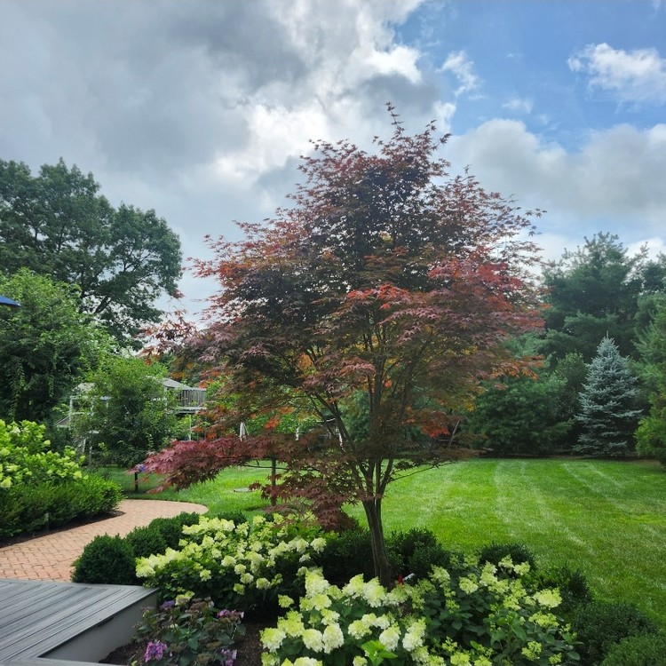 Landscaping Services in New York, NY