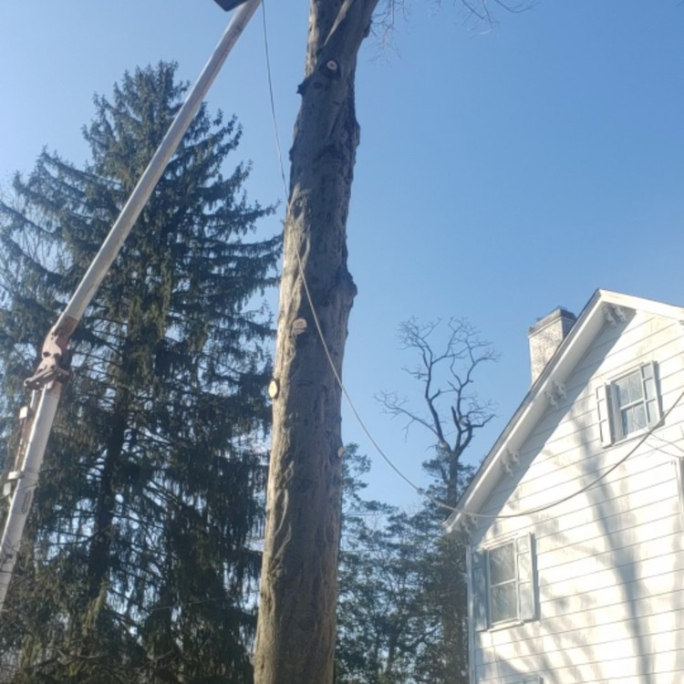 Landscaping Services in New York, NY