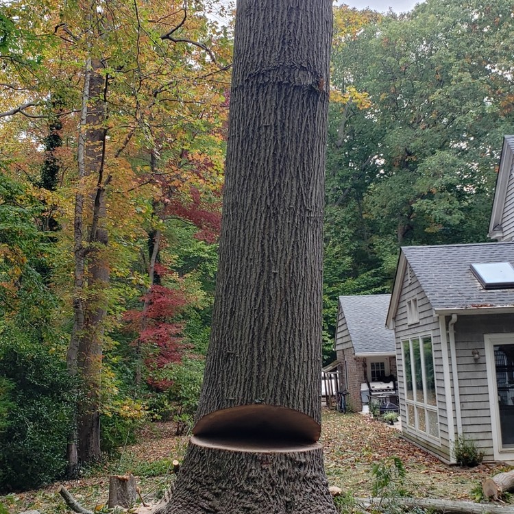 Landscaping Services in New York, NY